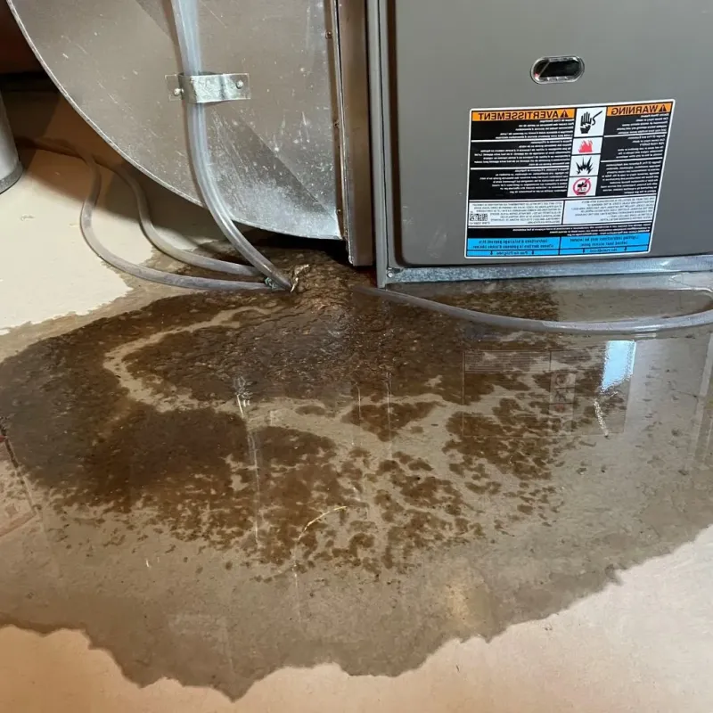 Pipe Burst and Leak Restoration in Alpine, UT