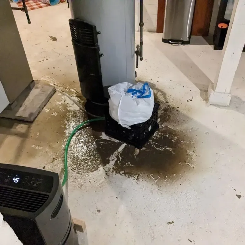 Sewage Backup Cleanup Service in Alpine, UT